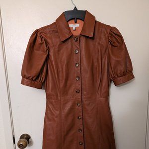 Joie Puff-Sleeve Geniune Leather Shirtdress
